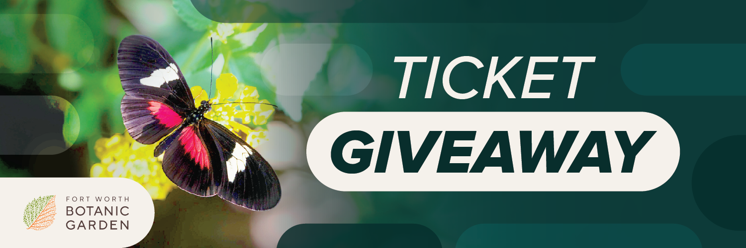 FWBG Giveaway - Butterflies in the Garden FWBG Giveaway - Butterflies in the Garden